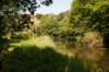 amsterdamsebos_018_small.jpg