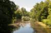 amsterdamsebos_020_small.jpg