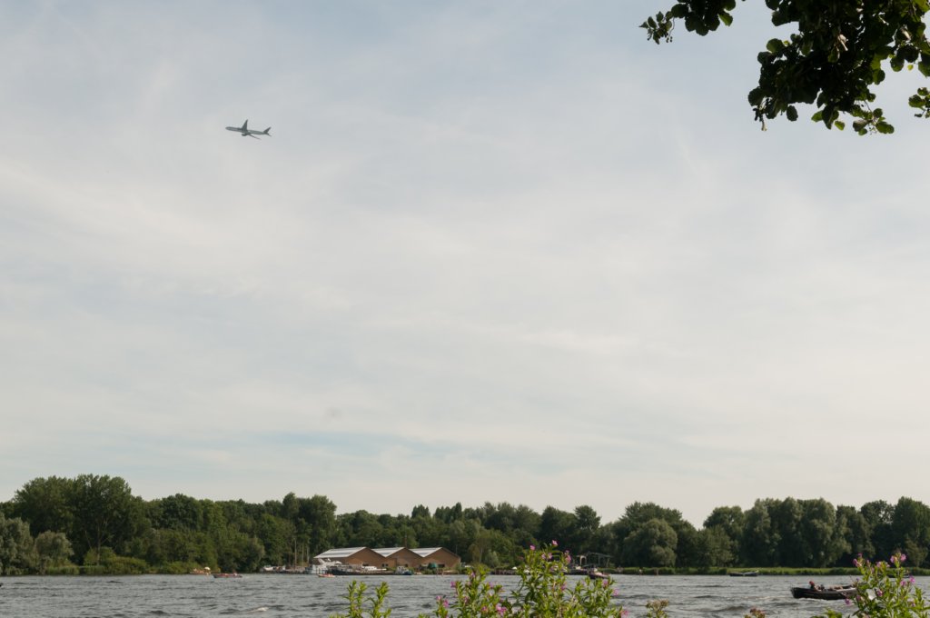 amsterdamsebos_024.jpg