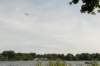 amsterdamsebos_024_small.jpg
