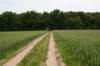 heuvelland_005_small.jpg
