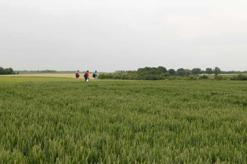 heuvelland_006.jpg
