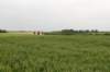 heuvelland_006_small.jpg