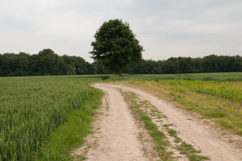 heuvelland_008.jpg