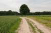 heuvelland_008_small.jpg
