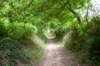 heuvelland_015_small.jpg