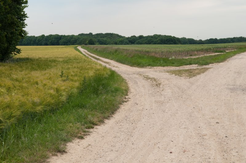 heuvelland_019.jpg
