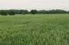 heuvelland_021_small.jpg