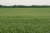 heuvelland_023_small.jpg