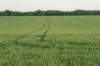 heuvelland_025_small.jpg
