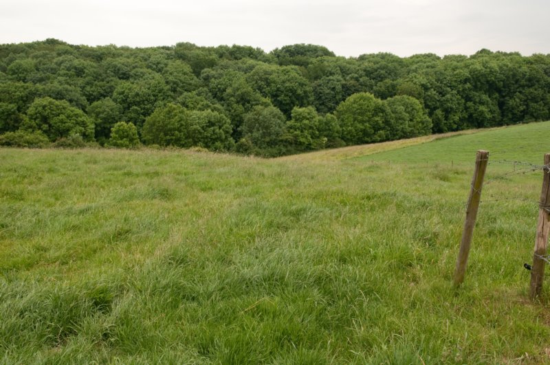heuvelland_030.jpg
