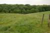 heuvelland_030_small.jpg