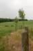 heuvelland_031_small.jpg