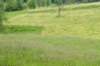 heuvelland_035_small.jpg