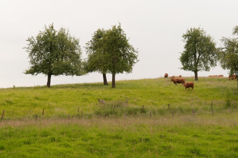 heuvelland_036.jpg