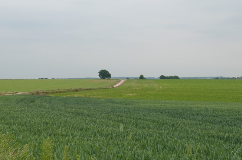 heuvelland_044.jpg