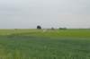 heuvelland_044_small.jpg