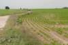 heuvelland_045_small.jpg
