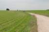 heuvelland_046_small.jpg
