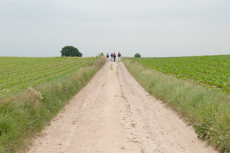 heuvelland_047.jpg