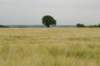 heuvelland_049_small.jpg