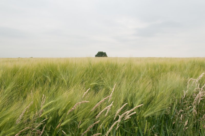 heuvelland_051.jpg