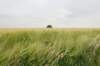 heuvelland_051_small.jpg