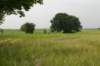 heuvelland_053_small.jpg