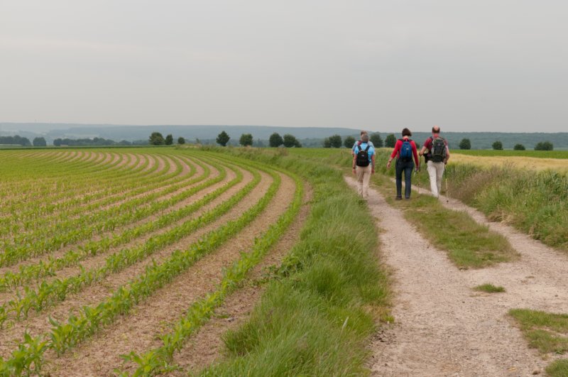 heuvelland_056.jpg