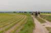 heuvelland_056_small.jpg