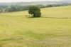 heuvelland_059_small.jpg