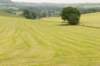 heuvelland_060_small.jpg