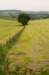 heuvelland_062_small.jpg
