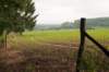 heuvelland_065_small.jpg