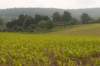 heuvelland_074_small.jpg