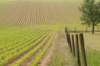 heuvelland_075_small.jpg