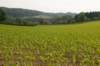 heuvelland_076_small.jpg