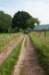 heuvelland_078_small.jpg