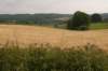 heuvelland_079_small.jpg