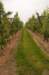 heuvelland_082_small.jpg