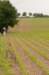 heuvelland_085_small.jpg