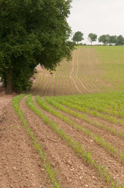 heuvelland_086.jpg