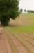 heuvelland_086_small.jpg