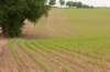 heuvelland_087_small.jpg