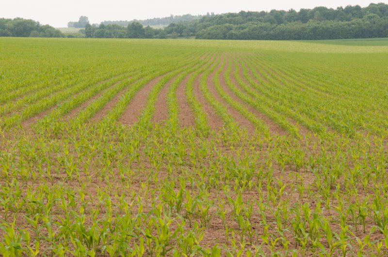 heuvelland_089.jpg