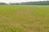 heuvelland_089_small.jpg