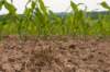 heuvelland_090_small.jpg