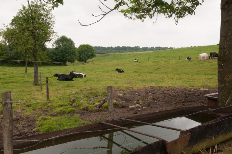 heuvelland_091.jpg