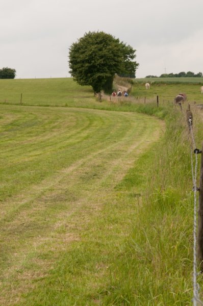 heuvelland_095.jpg