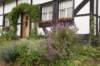 heuvelland_103_small.jpg